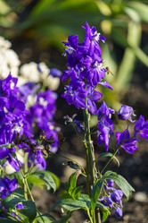 Similar image 21291008