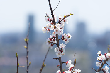 Similar image 21291009