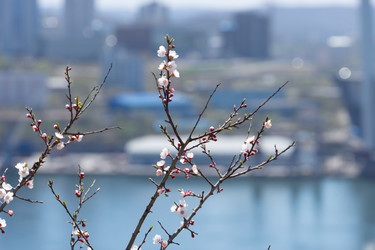 Similar image 21292464