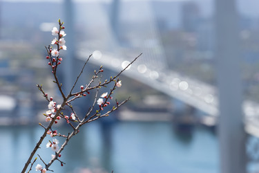 Similar image 21291409