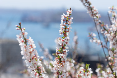 Similar image 21291410