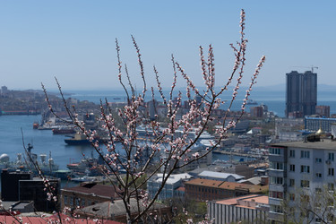 Similar image 21291411