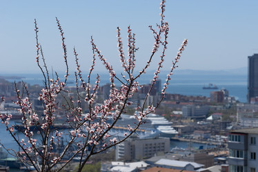 Similar image 21292025