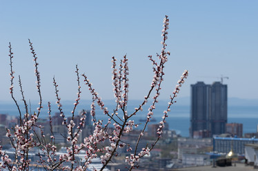 Similar image 21291412