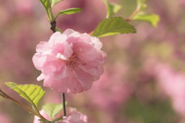 Similar image 21291014