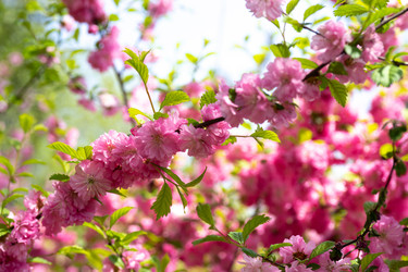 Similar image 21291395