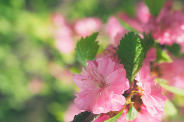 Similar image 21291396