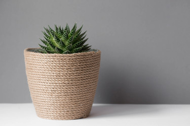 Similar image 21291428