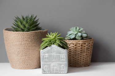 Similar image 21291429