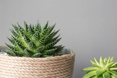 Similar image 21291432