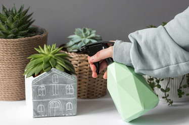 Similar image 21291571