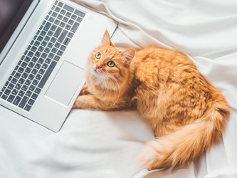 Similar image 21291399