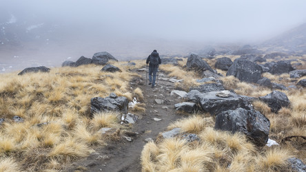 Similar image 21291444