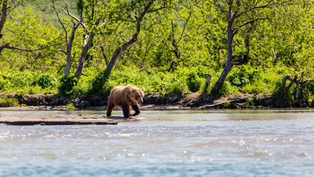 Similar image 21291446