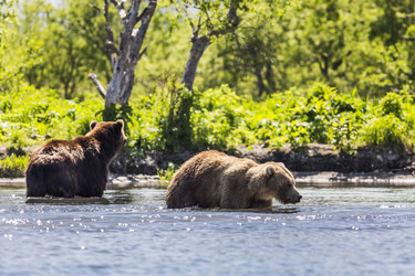 Similar image 21291448