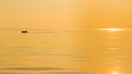 Similar image 21291452