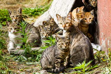 Similar image 21291455