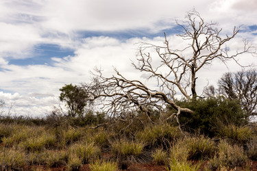 Similar image 21291461