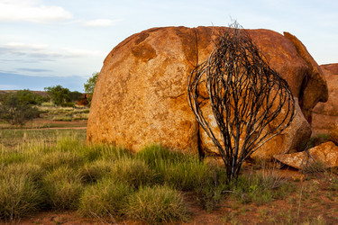 Similar image 21291462