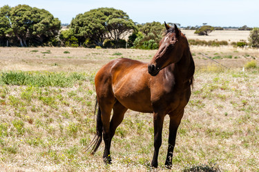 Similar image 21291463