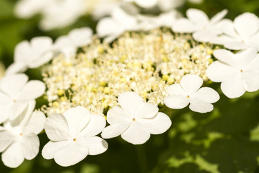 Similar image 21291468