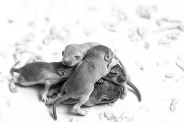 Similar image 21291472