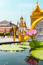 Similar image 21291473