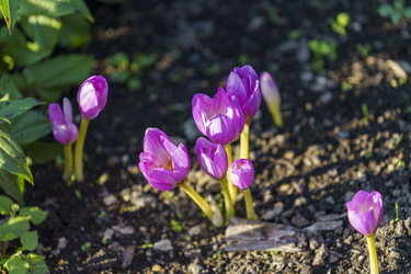 Similar image 21291478