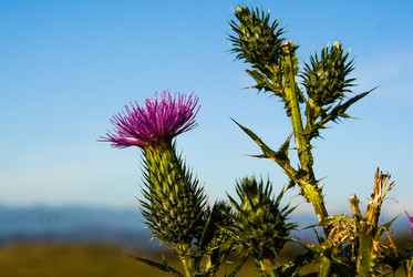 Similar image 21291481