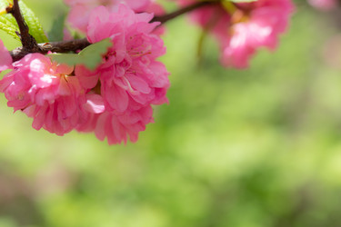 Similar image 21291406