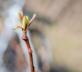 Similar image 21340598