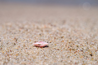 Similar image 21340578