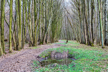 Similar image 21324555