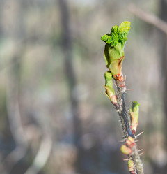 Similar image 21334685