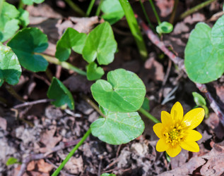 Similar image 21340606