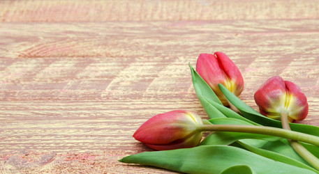 Similar image 21340582