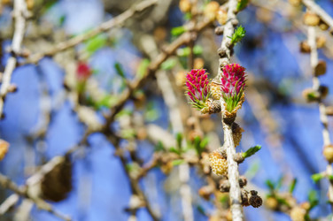 Similar image 21340583