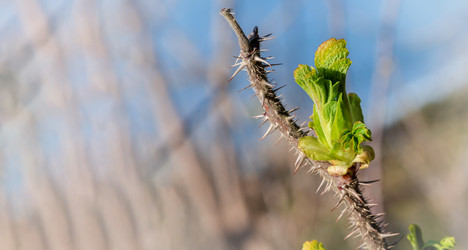 Similar image 21340584