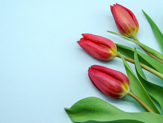 Similar image 21324558