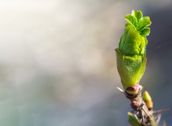 Similar image 21324559