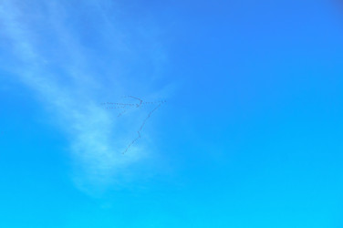 Similar image 21324560