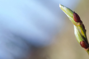 Similar image 21324561