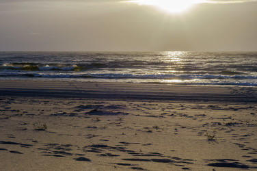 Similar image 21324562