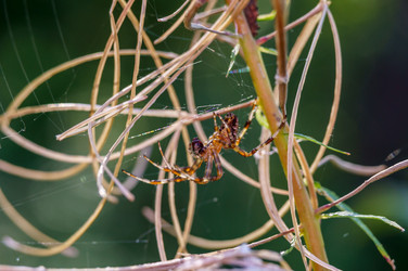 Similar image 21324563