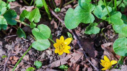 Similar image 21324566