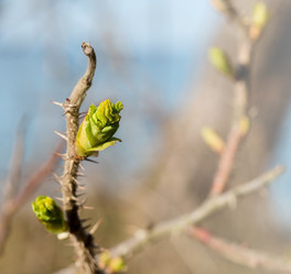 Similar image 21324568