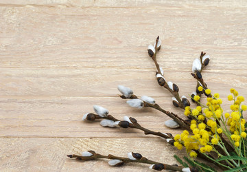 Similar image 21324569