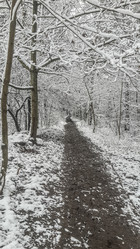 Similar image 21300385