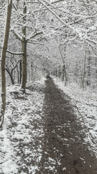 Similar image 21300386