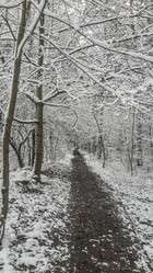 Similar image 21300387